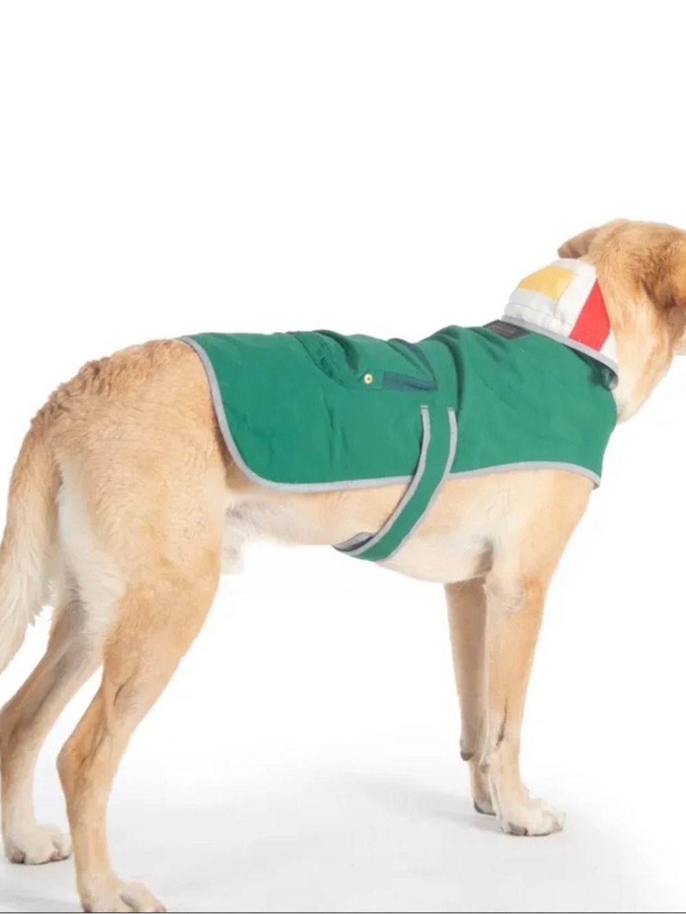 Pendleton Green Dog Coat with Colorblock Collar